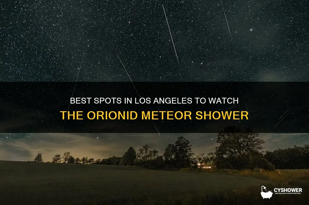 where to watch orionid meteor shower in los angeles