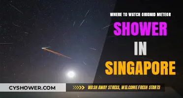 Best Spots in Singapore to Watch the Orionid Meteor Shower
