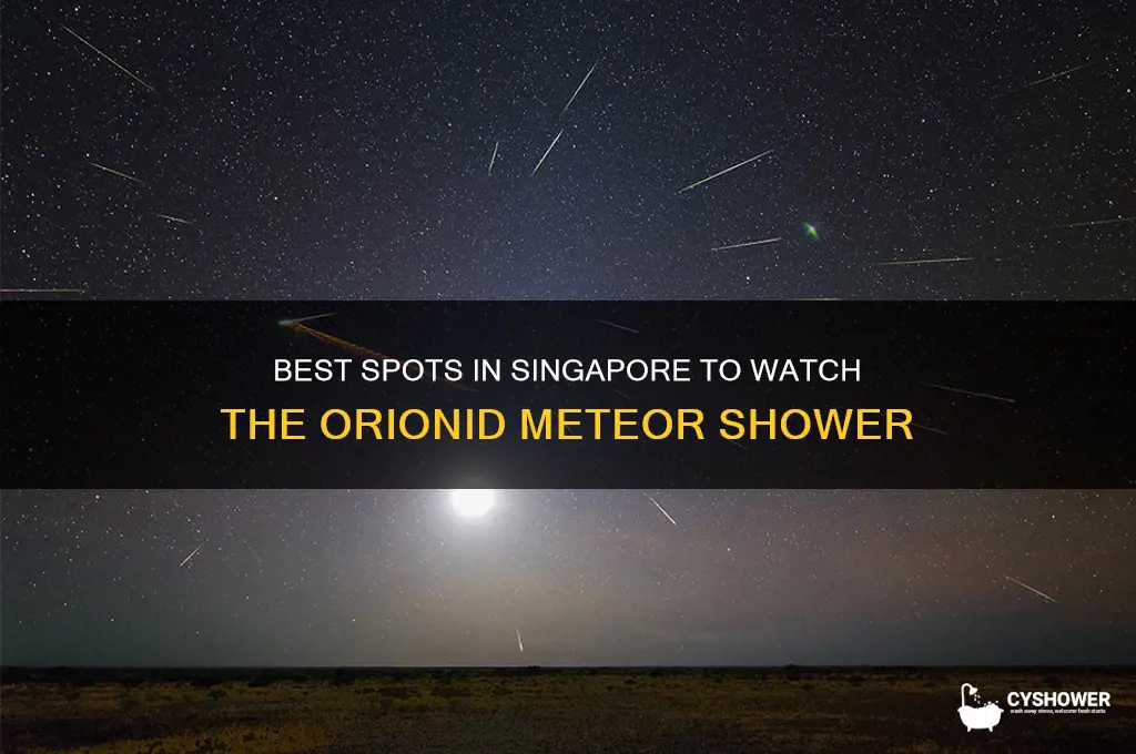 where to watch orionid meteor shower in singapore