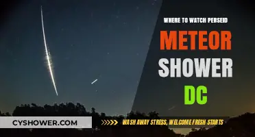 Best Spots in DC to Watch the Perseid Meteor Shower
