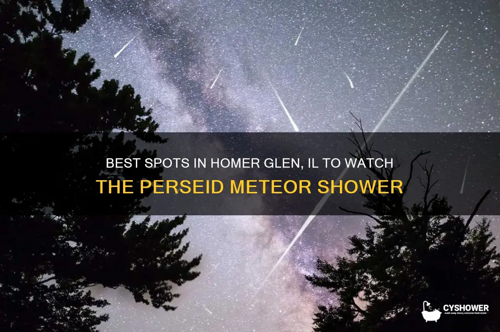 where to watch perseid meteor shower in homer glen il