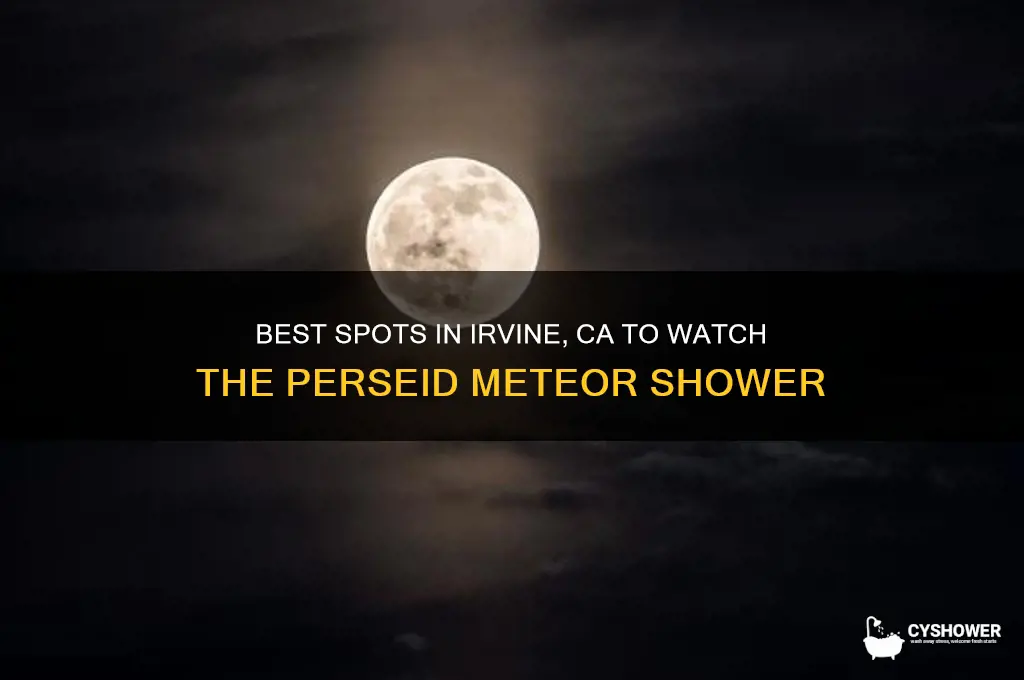 where to watch perseid meteor shower in irvine ca