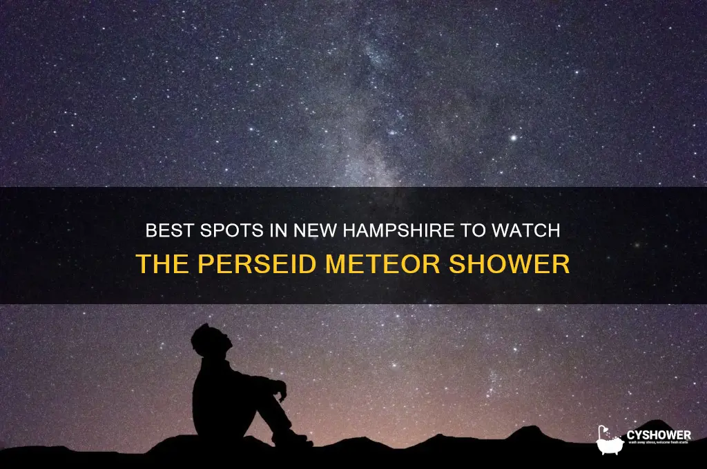 where to watch perseid meteor shower in new hampshire