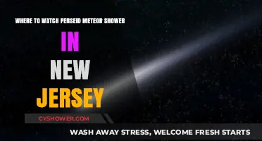 Best Spots in New Jersey to Watch the Perseid Meteor Shower