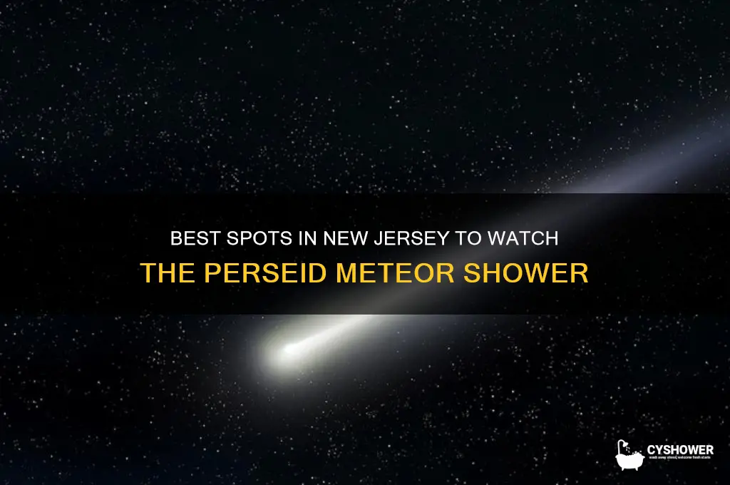 where to watch perseid meteor shower in new jersey