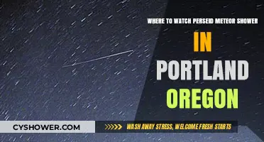 Best Spots in Portland, Oregon to Watch the Perseid Meteor Shower