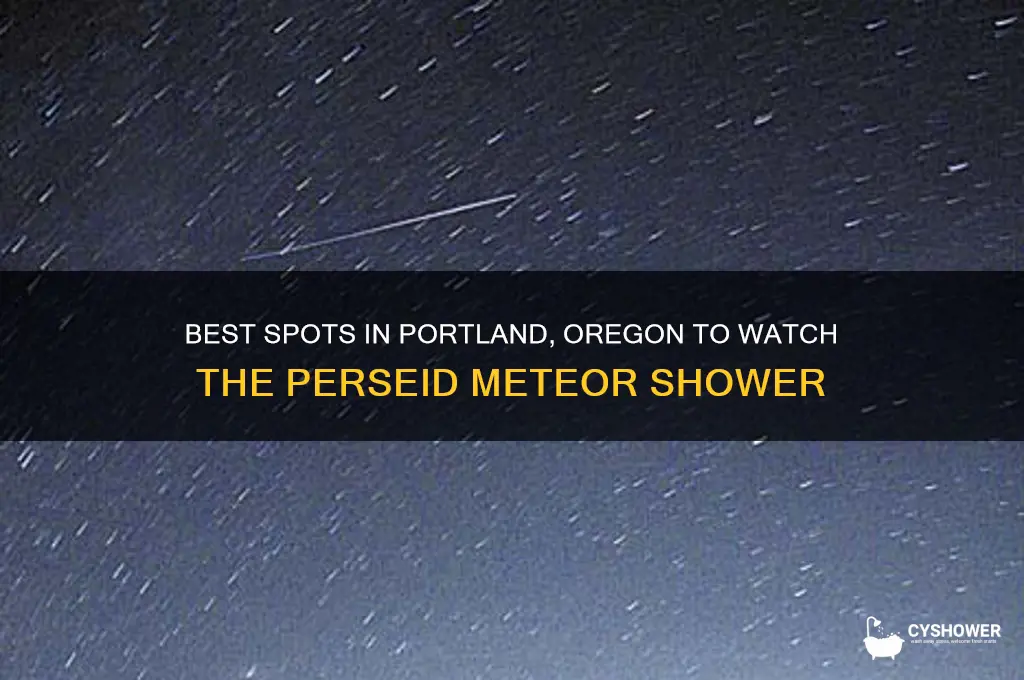 where to watch perseid meteor shower in portland oregon