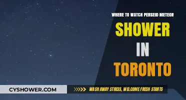 Best Toronto Spots to Watch the Perseid Meteor Shower