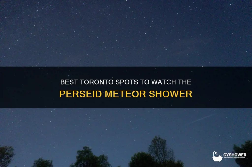 where to watch perseid meteor shower in toronto
