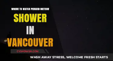 Vancouver's Best Spots to Watch the Perseid Meteor Shower