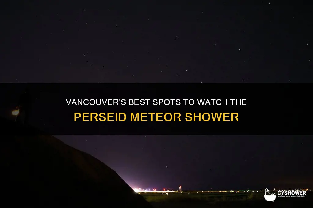 where to watch perseid meteor shower in vancouver
