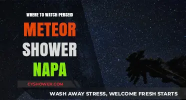 Best Spots in Napa to Watch the Perseid Meteor Shower