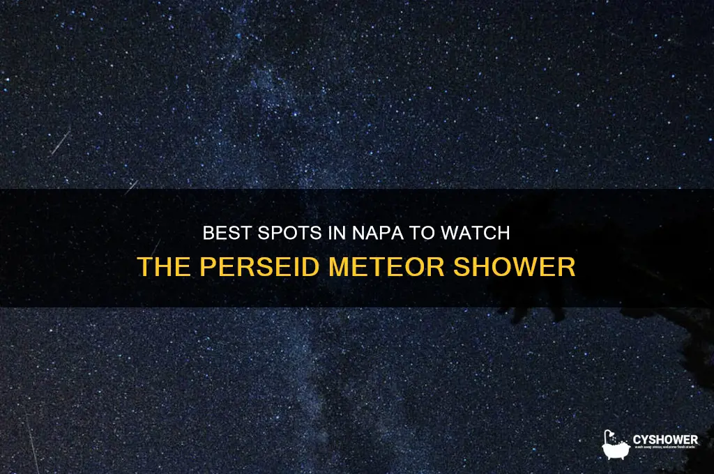 where to watch perseid meteor shower napa
