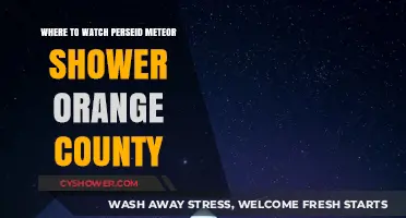 Best Spots in Orange County to Watch the Perseid Meteor Shower