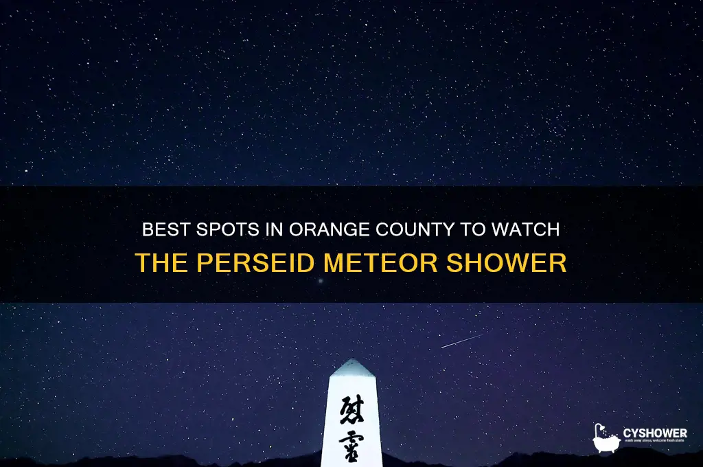 where to watch perseid meteor shower orange county
