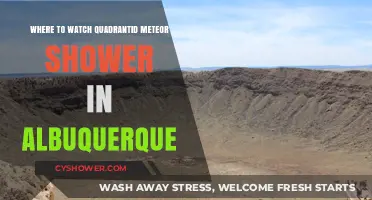 Best Spots in Albuquerque to Watch the Quadrantid Meteor Shower