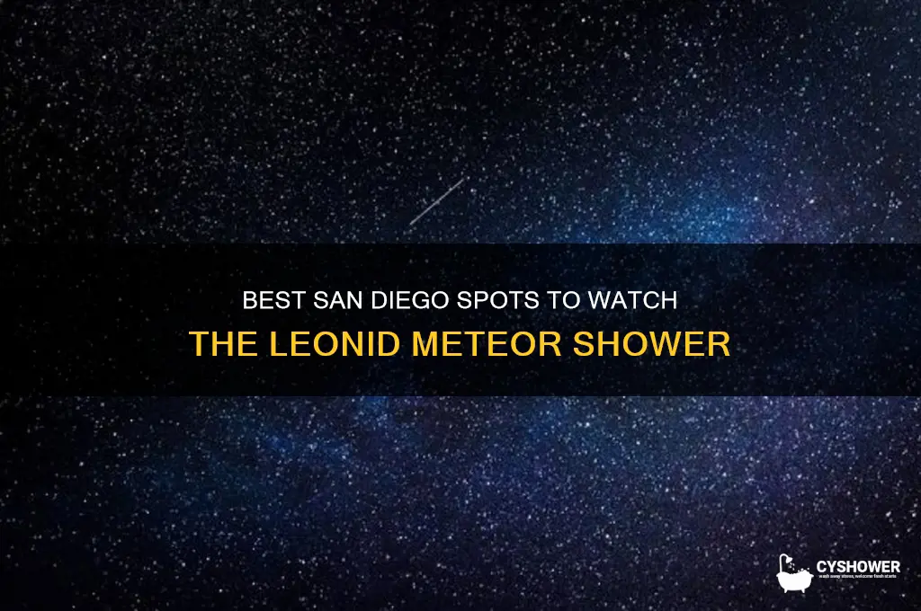 where to watch the leonjd meteor shower in san diego