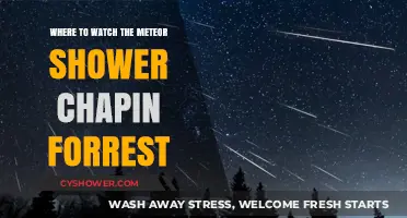 Best Spots to Watch the Meteor Shower in Chapin Forest