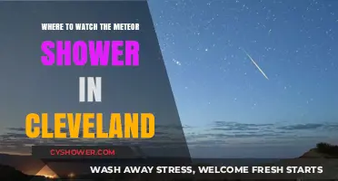 Cleveland's Best Spots to Watch the Meteor Shower Tonight