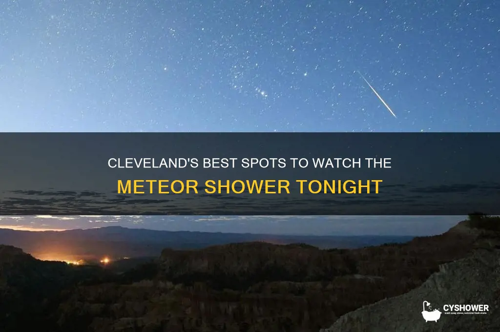 where to watch the meteor shower in cleveland