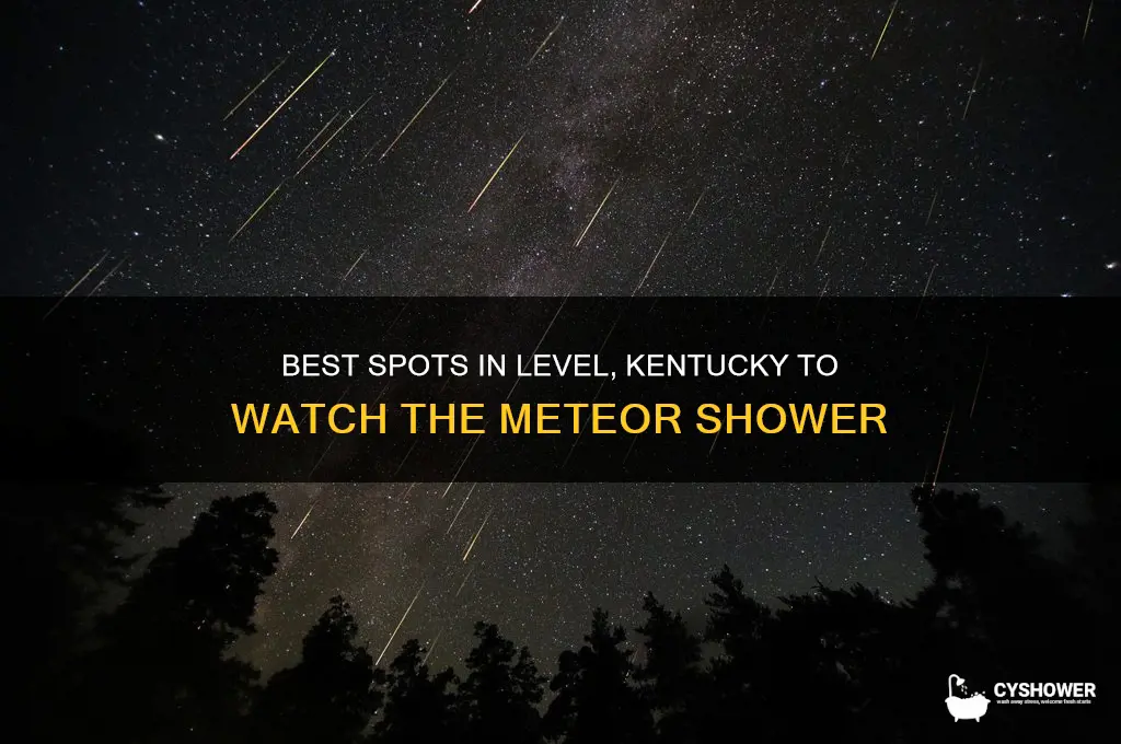 where to watch the meteor shower is in level kentucky