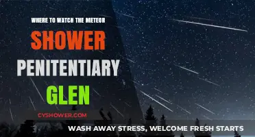 Best Spots to Watch the Meteor Shower at Penitentiary Glen