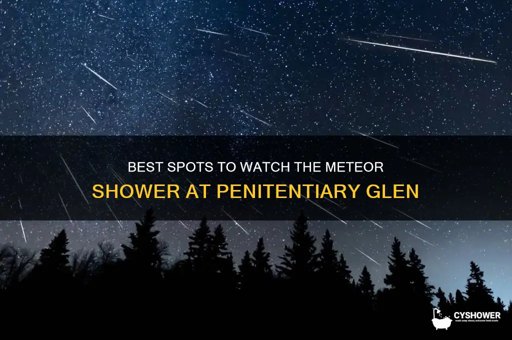where to watch the meteor shower penitentiary glen