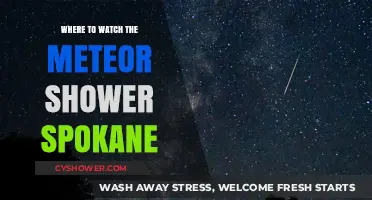 Best Spots in Spokane to Watch the Meteor Shower Tonight