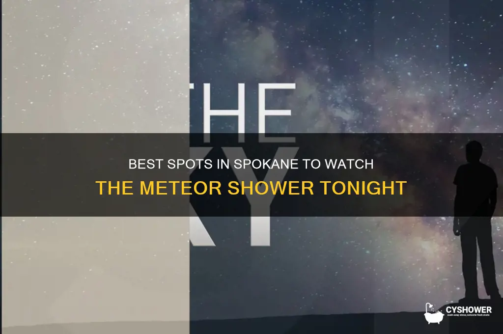 where to watch the meteor shower spokane