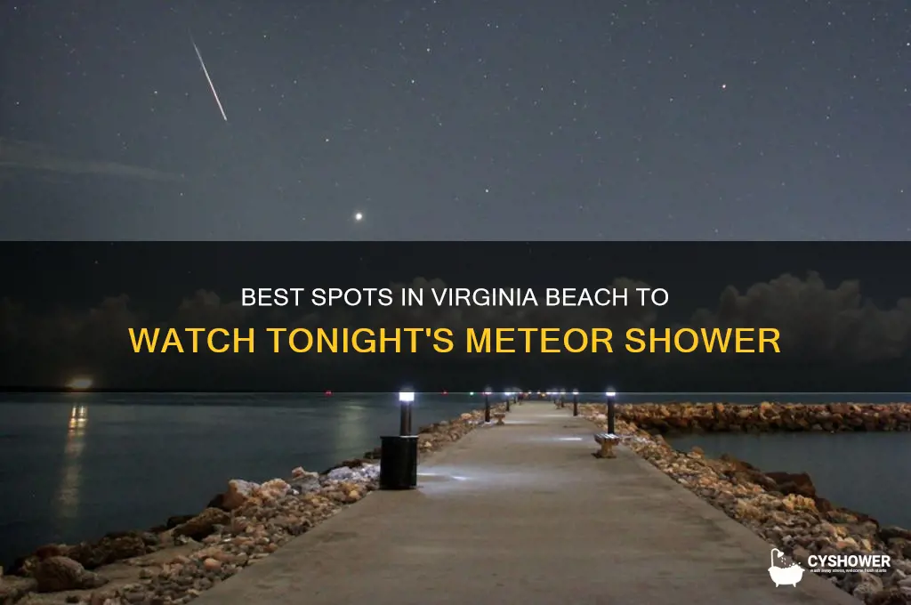 where to watch the meteor shower tonight in virginia beach