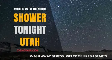 Utah's Night Sky: Best Spots to Watch Tonight's Meteor Shower