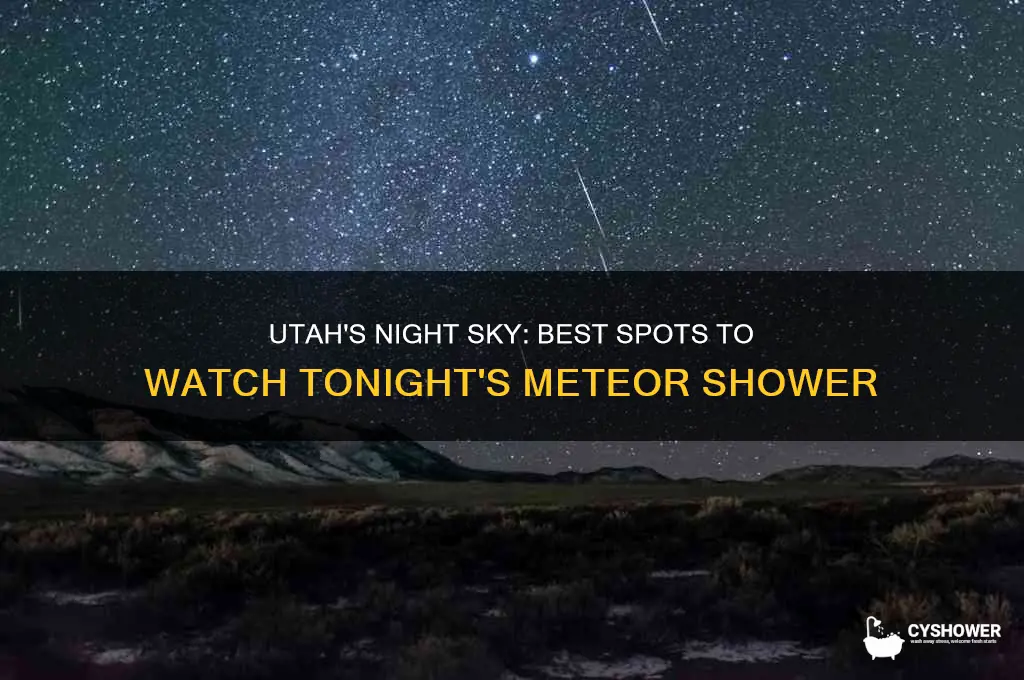 where to watch the meteor shower tonight utah