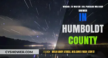 Best Humboldt County Spots to Watch the Perseid Meteor Shower