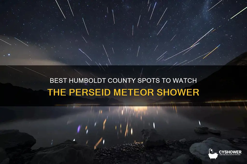 where to watch the perseid meteor shower in humboldt county