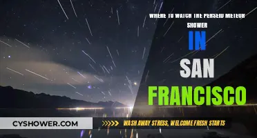 Best Spots in San Francisco to Watch the Perseid Meteor Shower