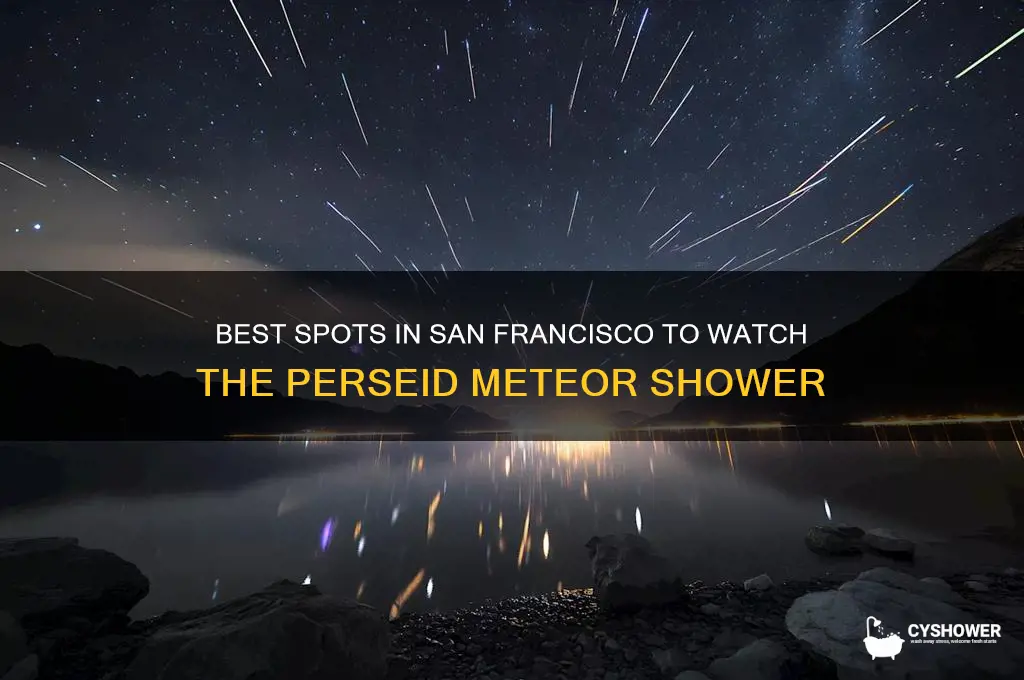 where to watch the perseid meteor shower in san francisco