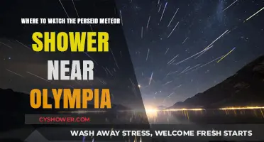 Best Spots Near Olympia to Watch the Perseid Meteor Shower