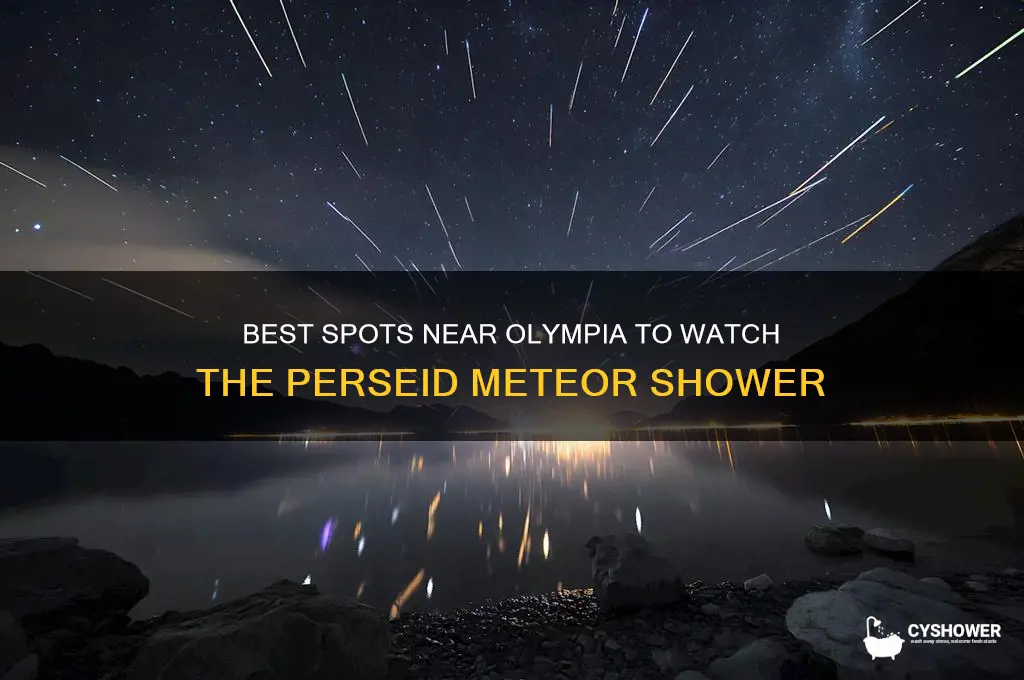 where to watch the perseid meteor shower near olympia
