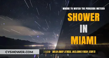 Best Miami Spots to Watch the Perseids Meteor Shower