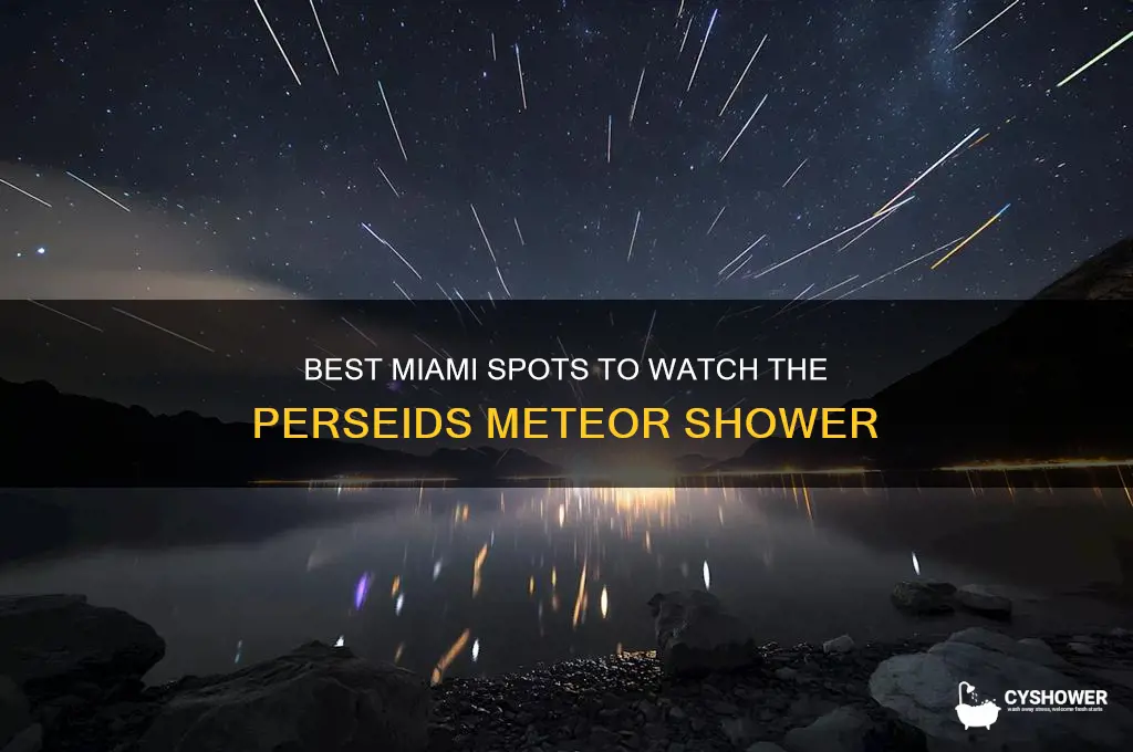 where to watch the perseids meteor shower in miami