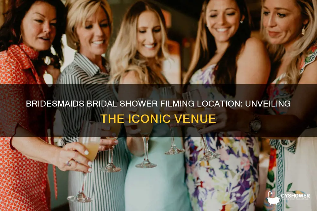 where was the bridal shower in bridesmaids filmed