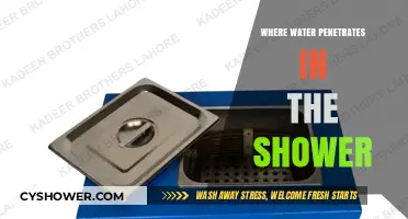 Preventing Water Damage: Where Shower Water Penetrates and How to Stop It
