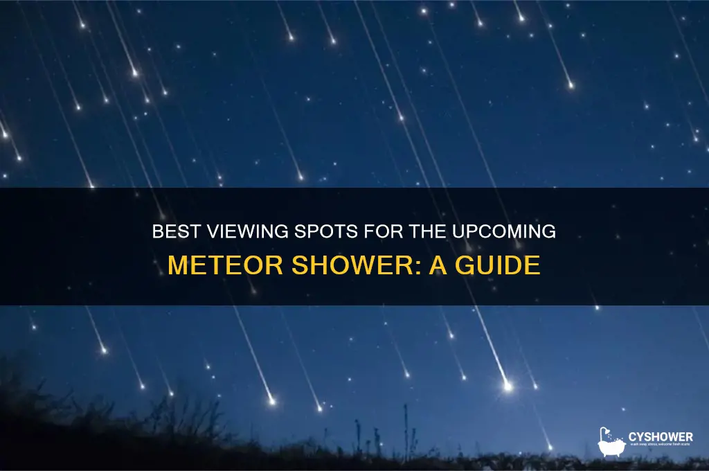 where will meteor shower be visible