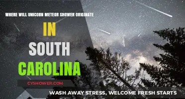 Unicorn Meteor Shower Origins: South Carolina's Celestial Spectacle Explained