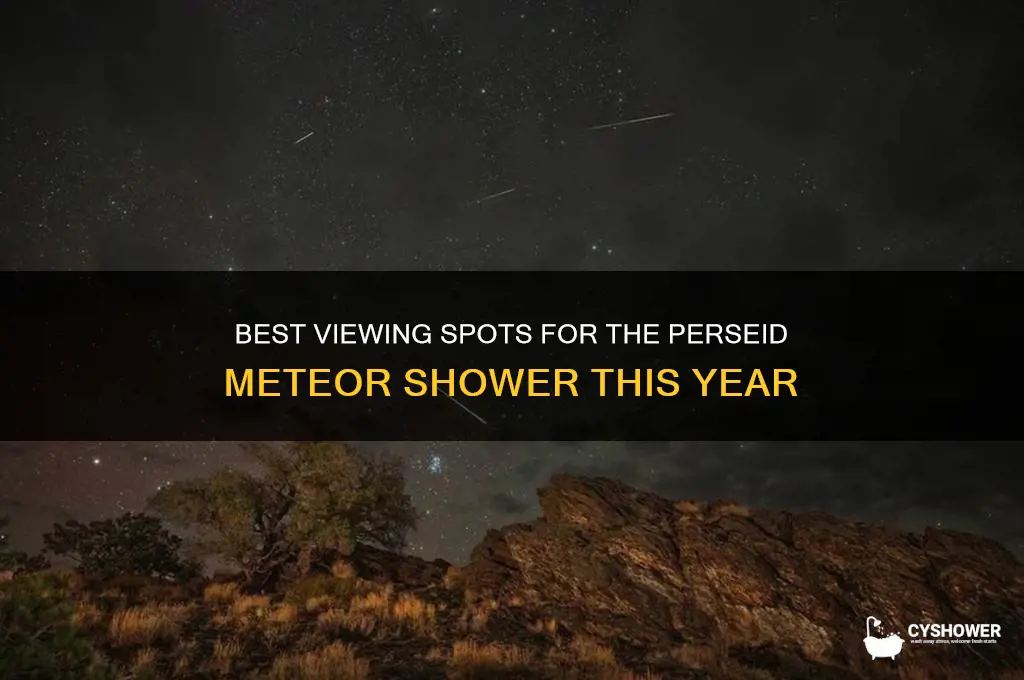 where you can see pearsaid meteor shower