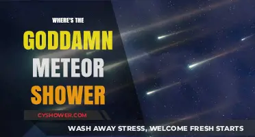 Where's the Goddamn Meteor Shower? A Skywatcher's Frustration Explained