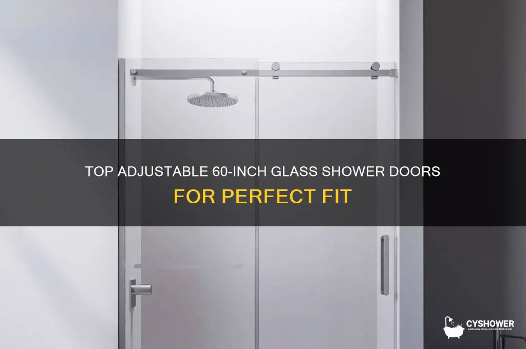 which 60 glass shower doors have the most adjustment