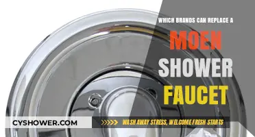 Upgrade Your Shower: Top Brands to Replace Your Moen Faucet