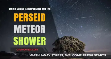 The Perseid Meteor Shower: Comet Swift-Tuttle's Celestial Legacy