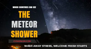 Global Guide: Where to Watch the Meteor Shower Tonight